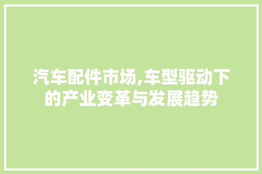 汽车配件市场,车型驱动下的产业变革与发展趋势