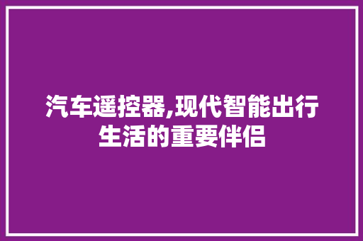 汽车遥控器,现代智能出行生活的重要伴侣