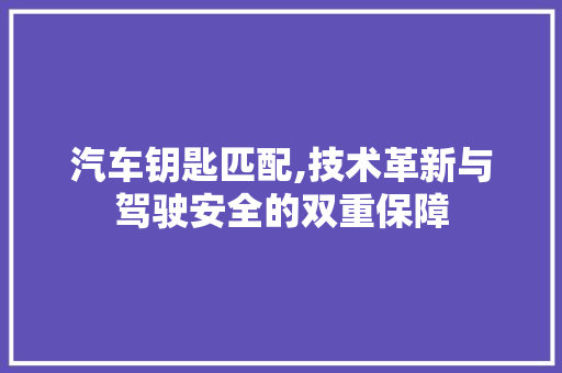 汽车钥匙匹配,技术革新与驾驶安全的双重保障