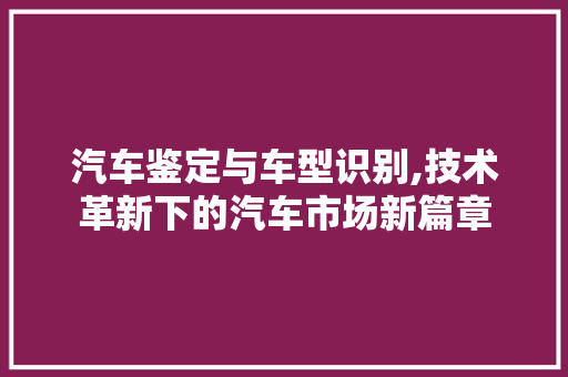 汽车鉴定与车型识别,技术革新下的汽车市场新篇章 新能源汽车