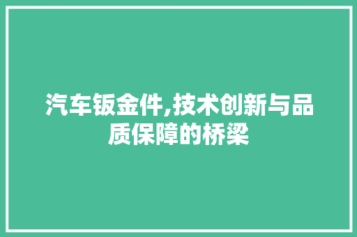 汽车钣金件,技术创新与品质保障的桥梁