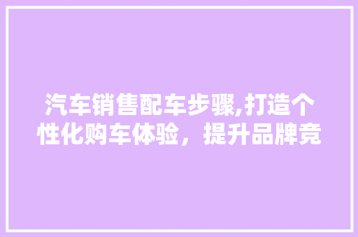 汽车销售配车步骤,打造个性化购车体验，提升品牌竞争力