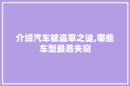 介绍汽车被盗率之谜,哪些车型最易失窃 车灯配件