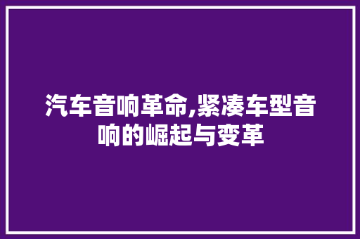 汽车音响革命,紧凑车型音响的崛起与变革