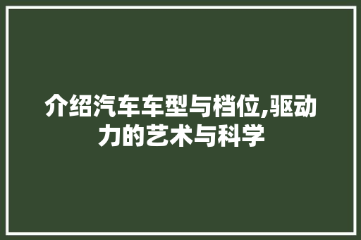 介绍汽车车型与档位,驱动力的艺术与科学