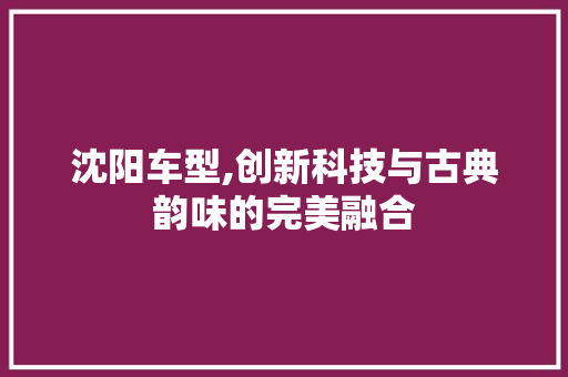 沈阳车型,创新科技与古典韵味的完美融合