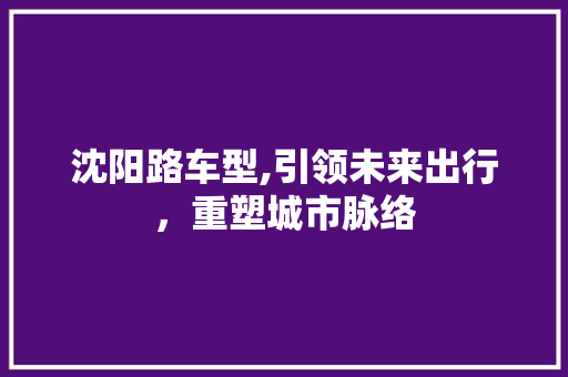 沈阳路车型,引领未来出行，重塑城市脉络