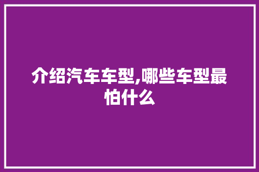 介绍汽车车型,哪些车型最怕什么