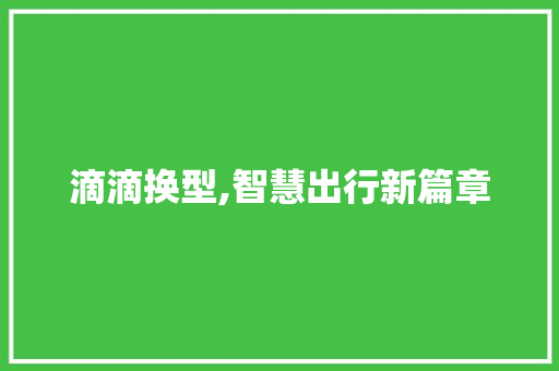 滴滴换型,智慧出行新篇章