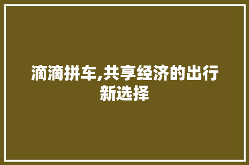 滴滴拼车,共享经济的出行新选择