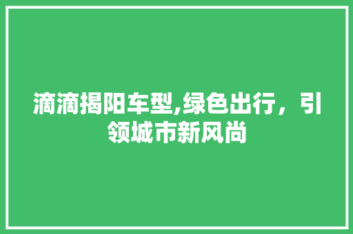 滴滴揭阳车型,绿色出行，引领城市新风尚