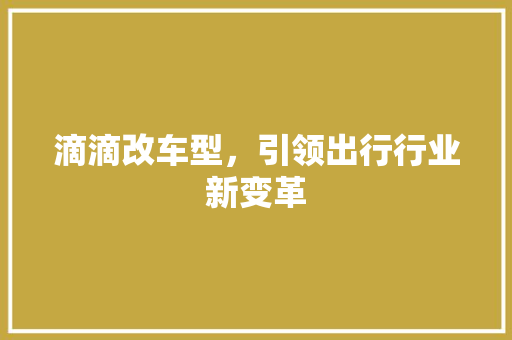 滴滴改车型，引领出行行业新变革