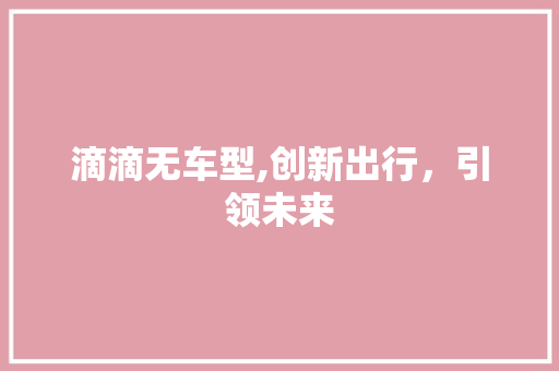 滴滴无车型,创新出行，引领未来