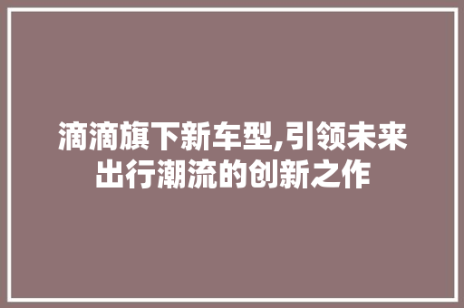 滴滴旗下新车型,引领未来出行潮流的创新之作