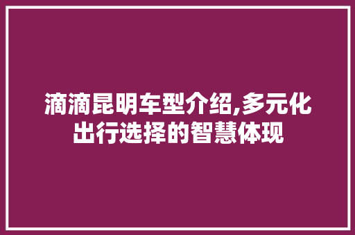 滴滴昆明车型介绍,多元化出行选择的智慧体现
