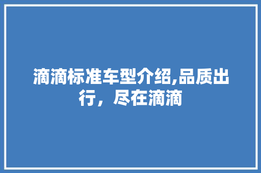 滴滴标准车型介绍,品质出行，尽在滴滴