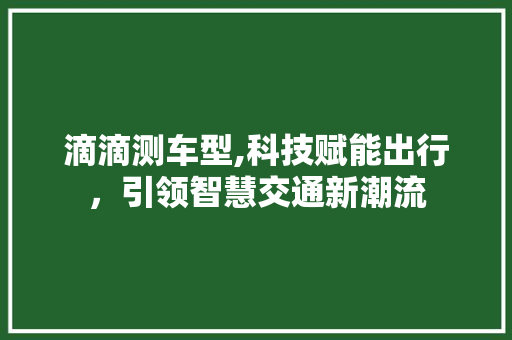 滴滴测车型,科技赋能出行，引领智慧交通新潮流
