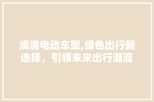 滴滴电动车型,绿色出行新选择，引领未来出行潮流