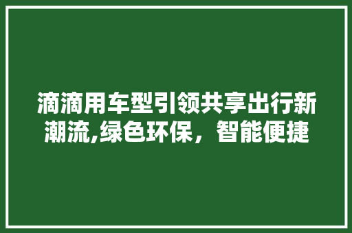 滴滴用车型引领共享出行新潮流,绿色环保，智能便捷