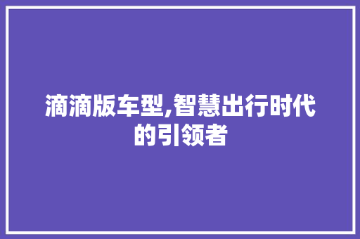 滴滴版车型,智慧出行时代的引领者