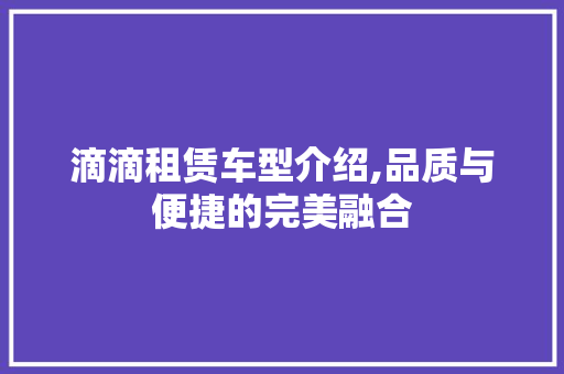 滴滴租赁车型介绍,品质与便捷的完美融合