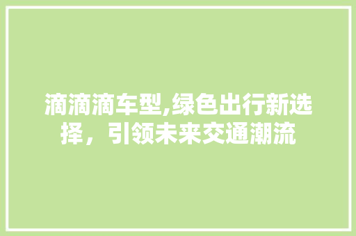 滴滴滴车型,绿色出行新选择，引领未来交通潮流