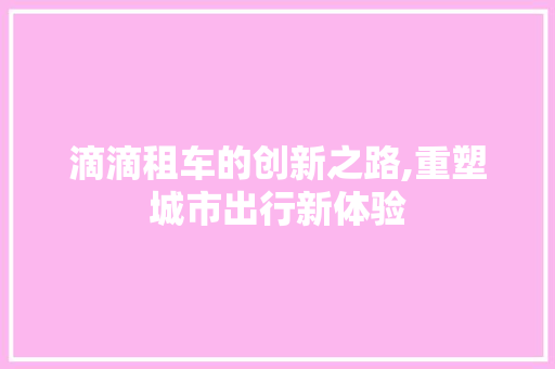 滴滴租车的创新之路,重塑城市出行新体验