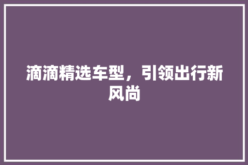 滴滴精选车型，引领出行新风尚