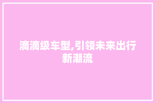 滴滴级车型,引领未来出行新潮流