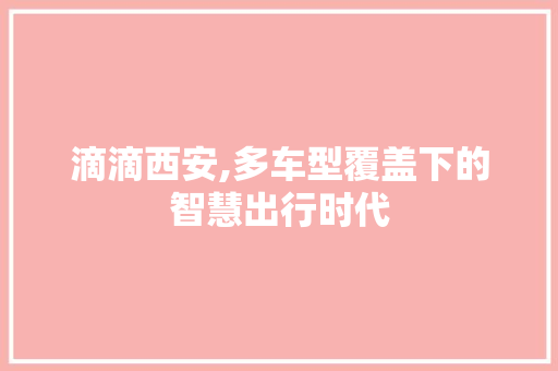 滴滴西安,多车型覆盖下的智慧出行时代