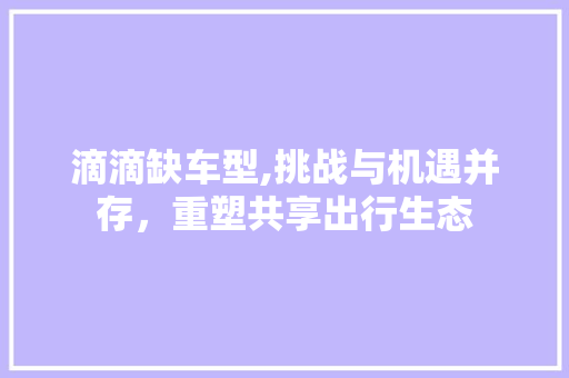 滴滴缺车型,挑战与机遇并存，重塑共享出行生态