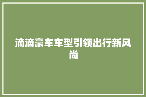 滴滴豪车车型引领出行新风尚