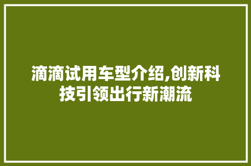 滴滴试用车型介绍,创新科技引领出行新潮流