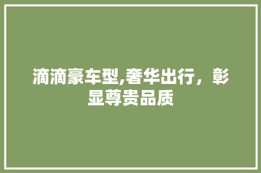 滴滴豪车型,奢华出行，彰显尊贵品质