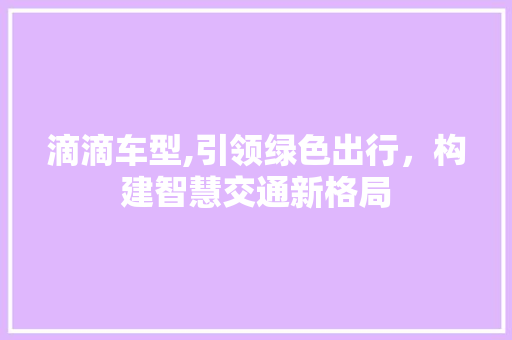 滴滴车型,引领绿色出行，构建智慧交通新格局