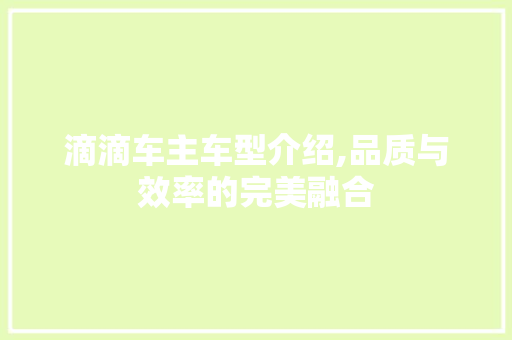 滴滴车主车型介绍,品质与效率的完美融合