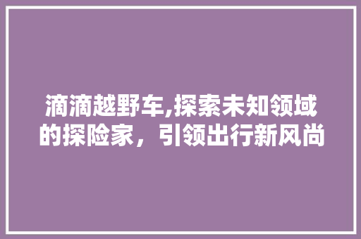 滴滴越野车,探索未知领域的探险家，引领出行新风尚