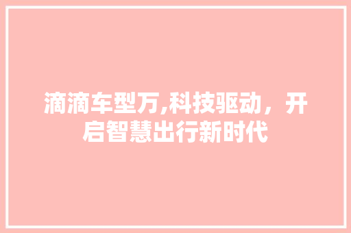 滴滴车型万,科技驱动，开启智慧出行新时代