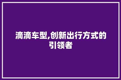 滴滴车型,创新出行方式的引领者