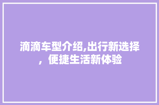 滴滴车型介绍,出行新选择，便捷生活新体验