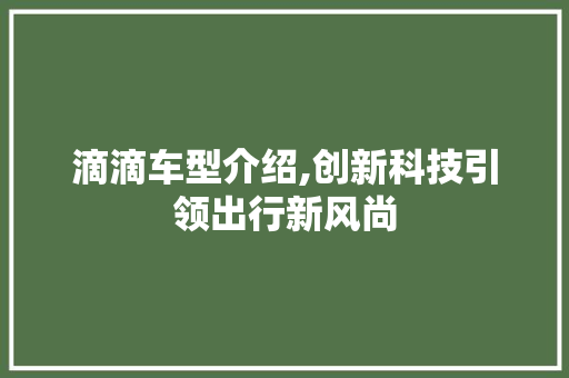 滴滴车型介绍,创新科技引领出行新风尚