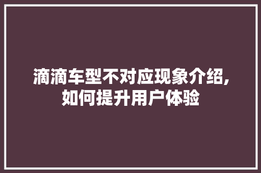 滴滴车型不对应现象介绍,如何提升用户体验