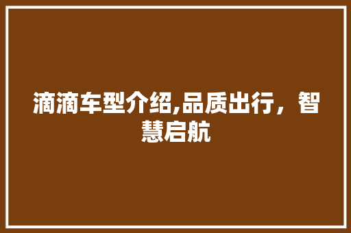 滴滴车型介绍,品质出行，智慧启航