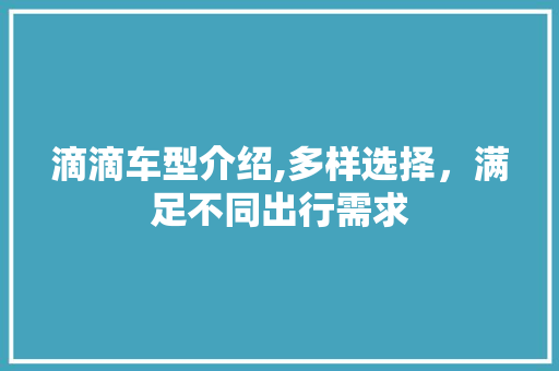 滴滴车型介绍,多样选择，满足不同出行需求