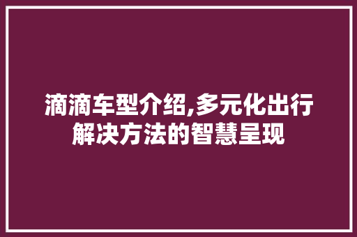 滴滴车型介绍,多元化出行解决方法的智慧呈现