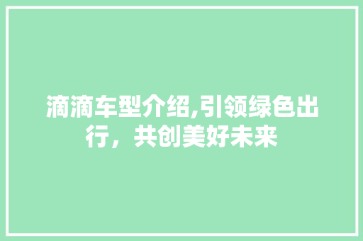 滴滴车型介绍,引领绿色出行，共创美好未来