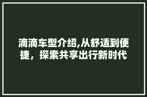 滴滴车型介绍,从舒适到便捷，探索共享出行新时代