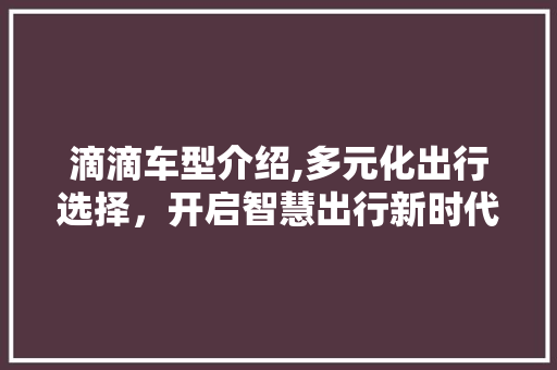 滴滴车型介绍,多元化出行选择，开启智慧出行新时代