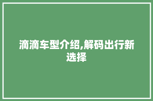 滴滴车型介绍,解码出行新选择