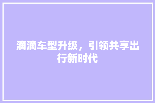 滴滴车型升级，引领共享出行新时代
